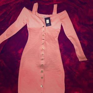 Pink steel button down dress